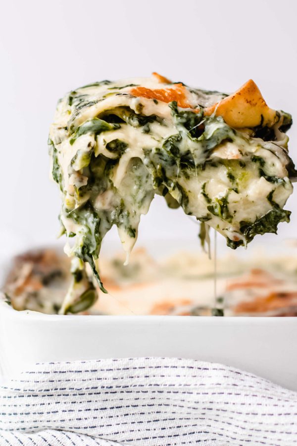 vegetarische, witte lasagne met spinazie