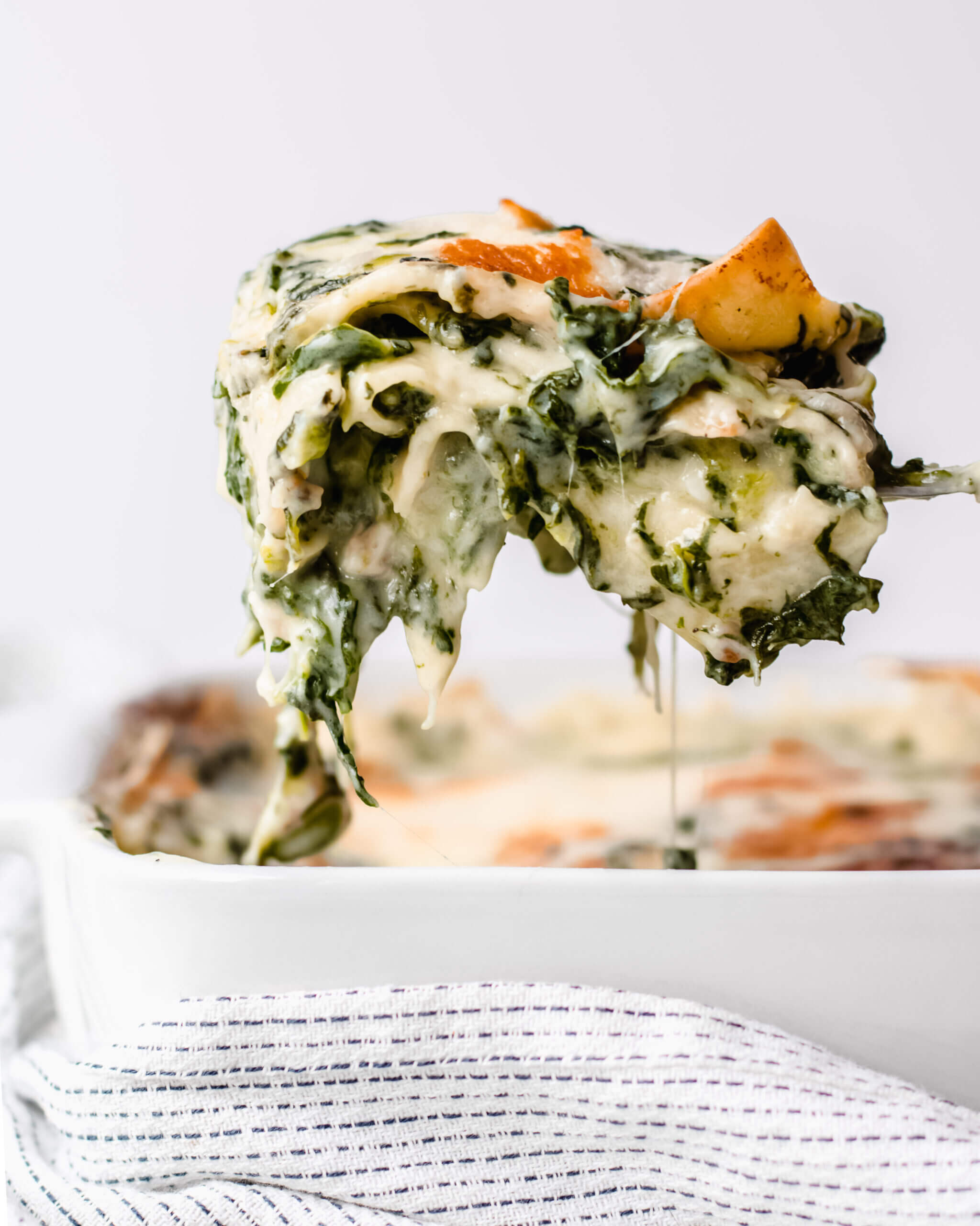 vegetarische, witte lasagne met spinazie