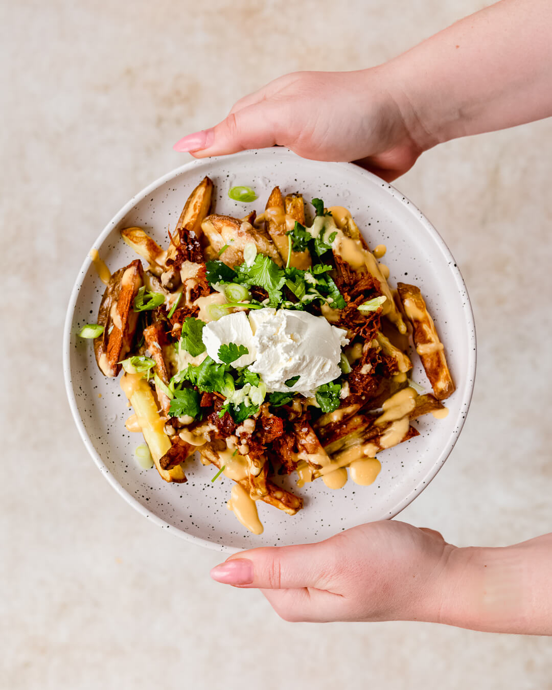 loaded fries